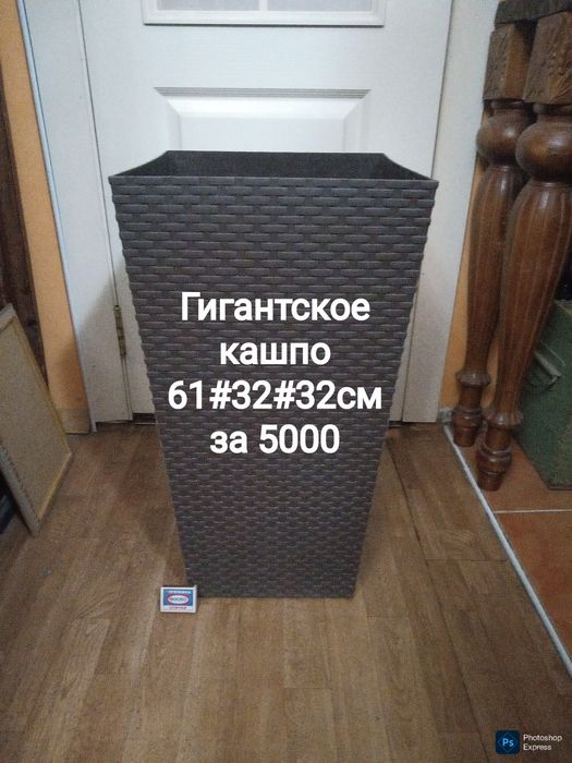 Огромный горшок и кактус .
