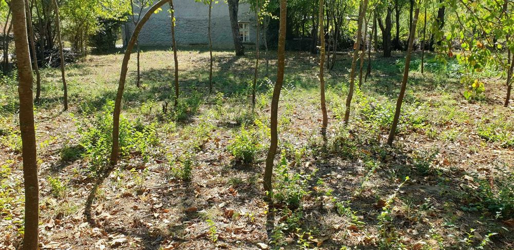 Продава се Парцел в с. Лесичарка, Област Габрово - 850 кв.м за 17 €/кв.м - Снимка #2