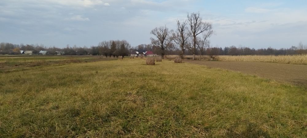 Vand casa+sura+anexa