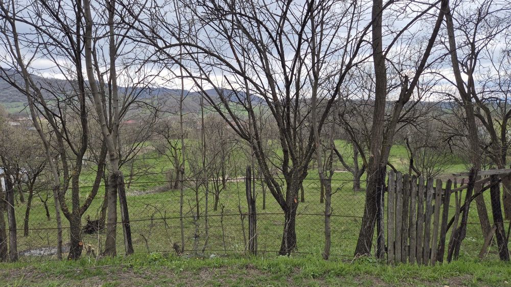 Teren intravilan 2600mp , intrare sat Schiulesti
