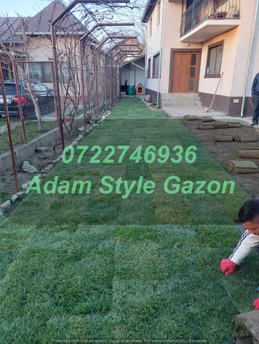 Gazon Profesional pentru Grădini Elegante