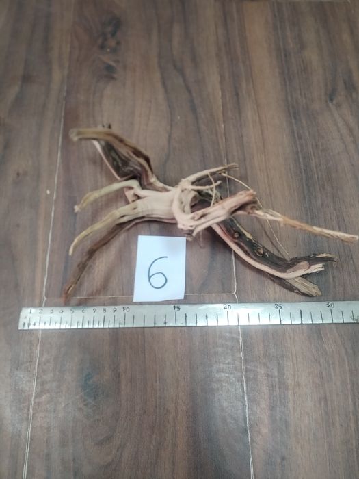 Специализирани аквариумни лампи и корени от азалия