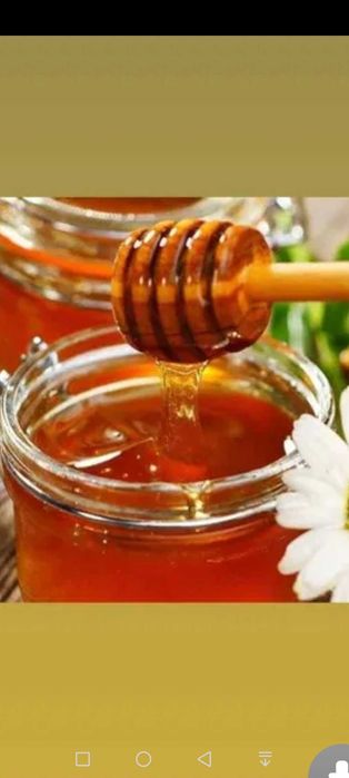 Мед гречичный натуральный