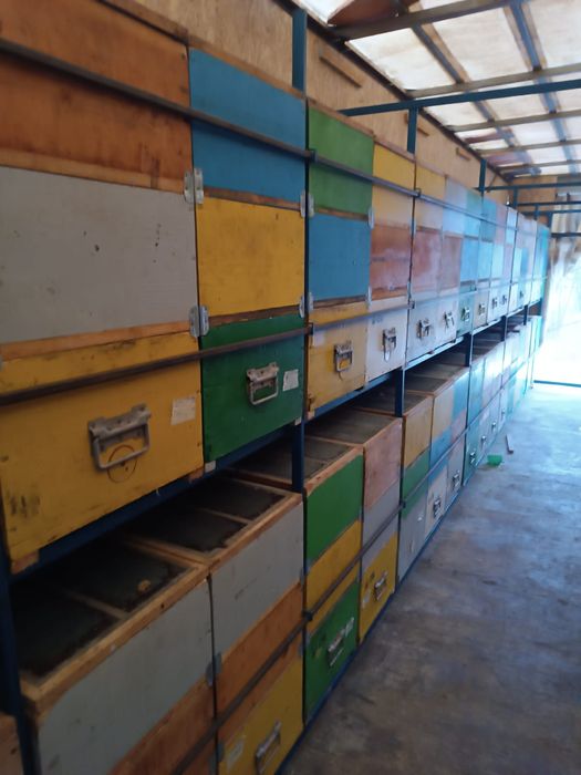 Camion omologat apicol