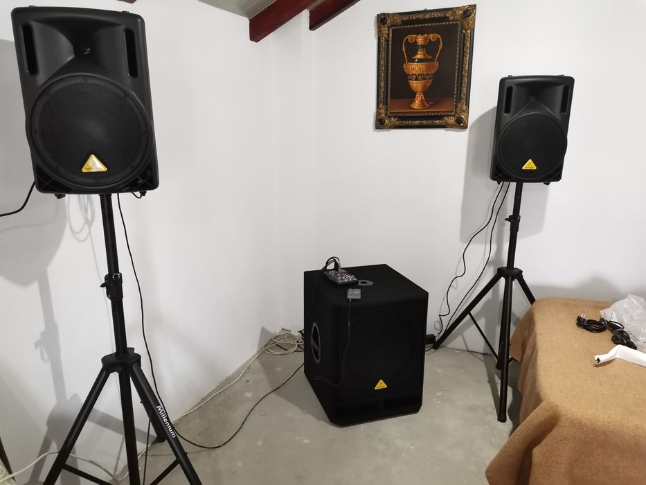 Boxe profesionale behringer