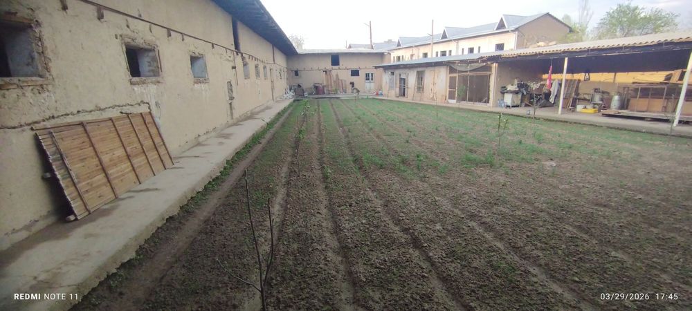 Arendaga joy. Сдаётся на аренду