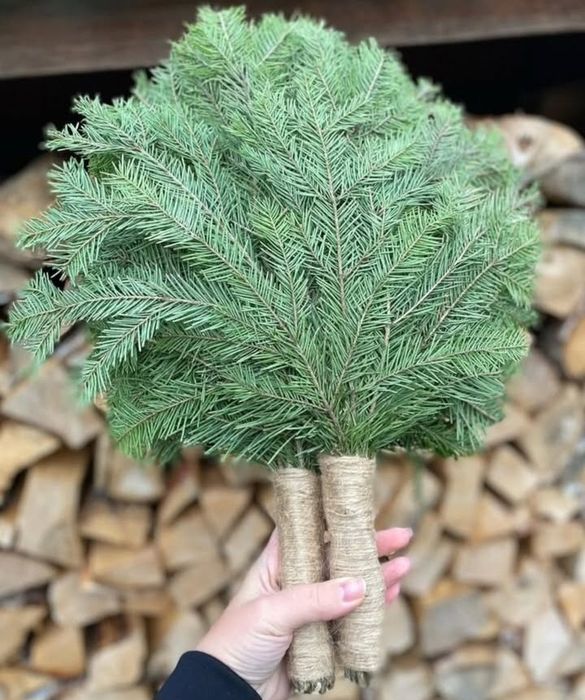 Пихтовый веник для бани