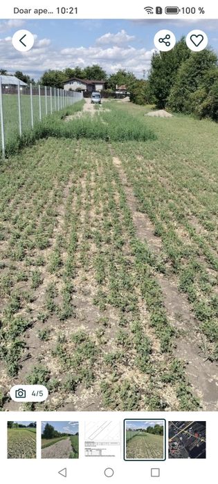 Închiriez teren la 5 minute de Ploiești