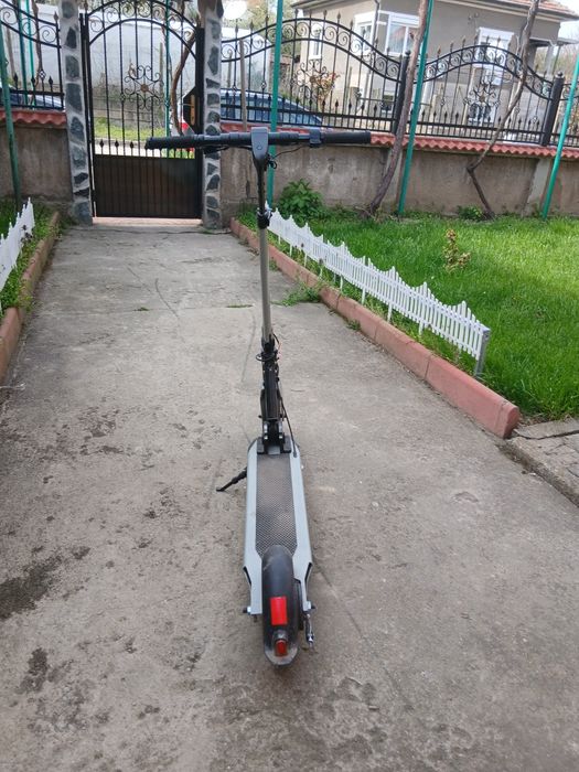 Тротинетка марка buzzard