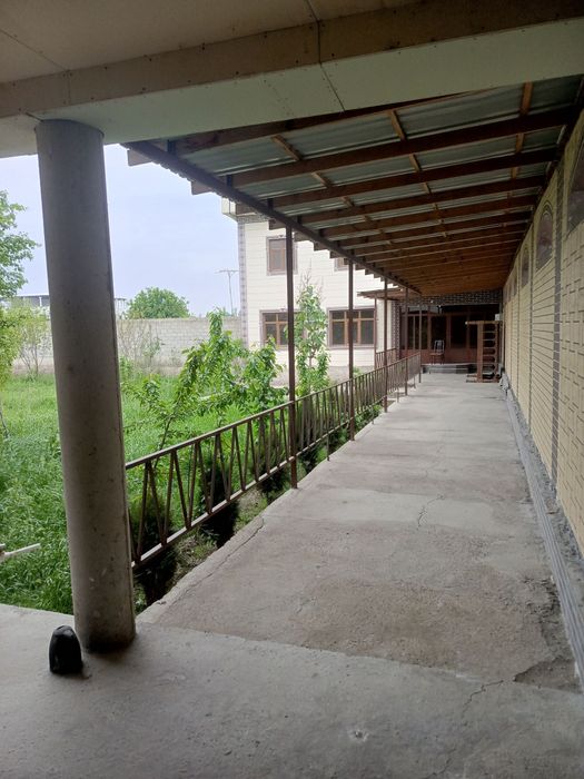 20 соткда беда ут буда сотилади