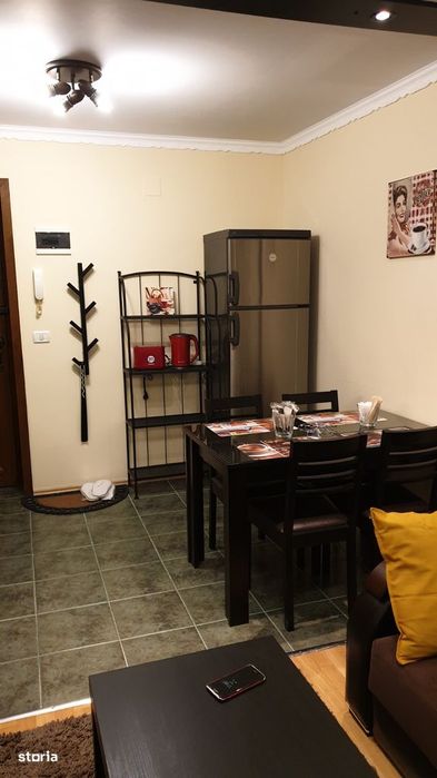 Studio - Apartament Central Furnica