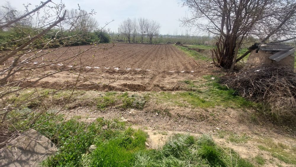 Дача сотилади Калача Суфон