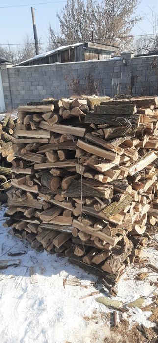 Дрова Алматы и область