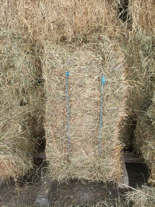 Baloți din fân de grădină