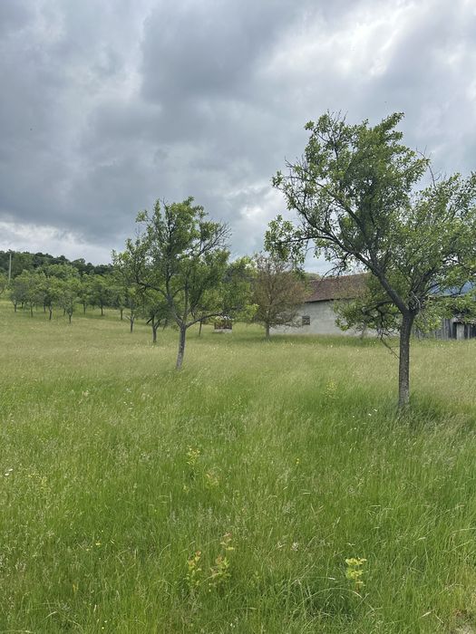 Vând teren extravilan drept 27.510 mp si are construit pe teren 2 cladiri