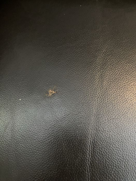 Canapea piele naturala