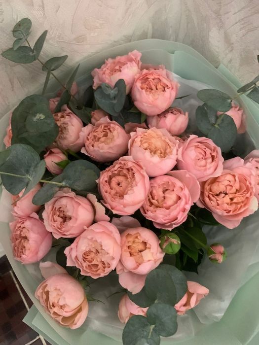 Цветы пионавидные розы