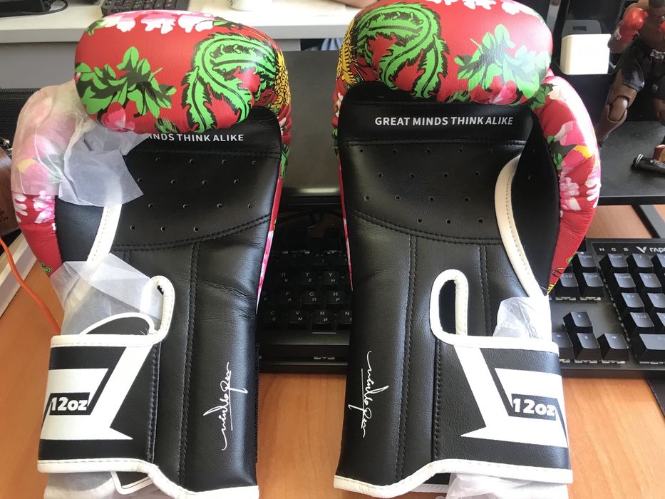 Перчатки боксерские Raja boxing