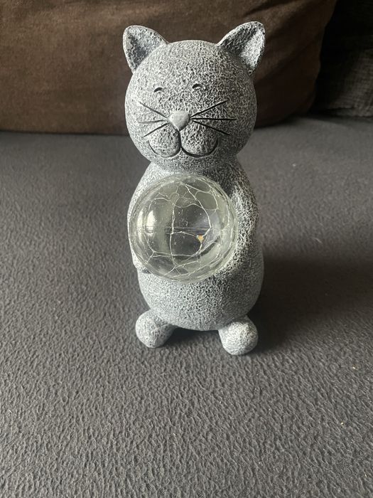 Соларно коте