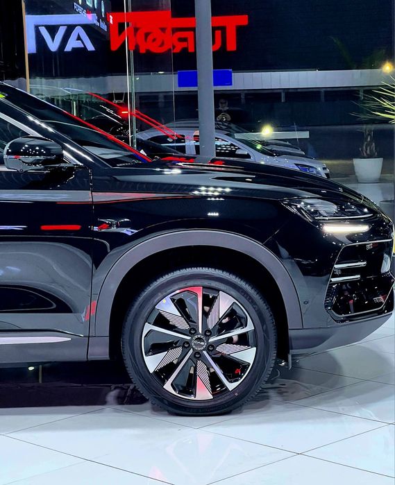 BYD champion 2025 SMART+