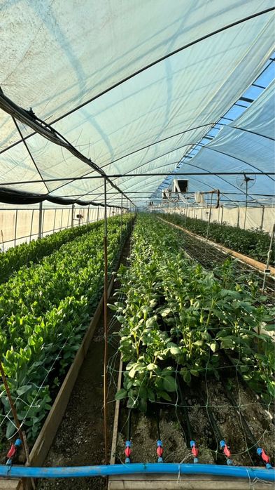 Промышленная база