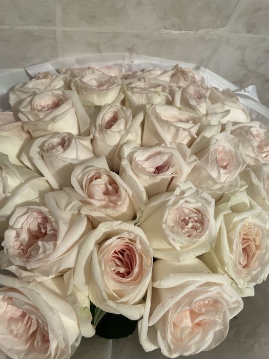 Белые розы,свежие