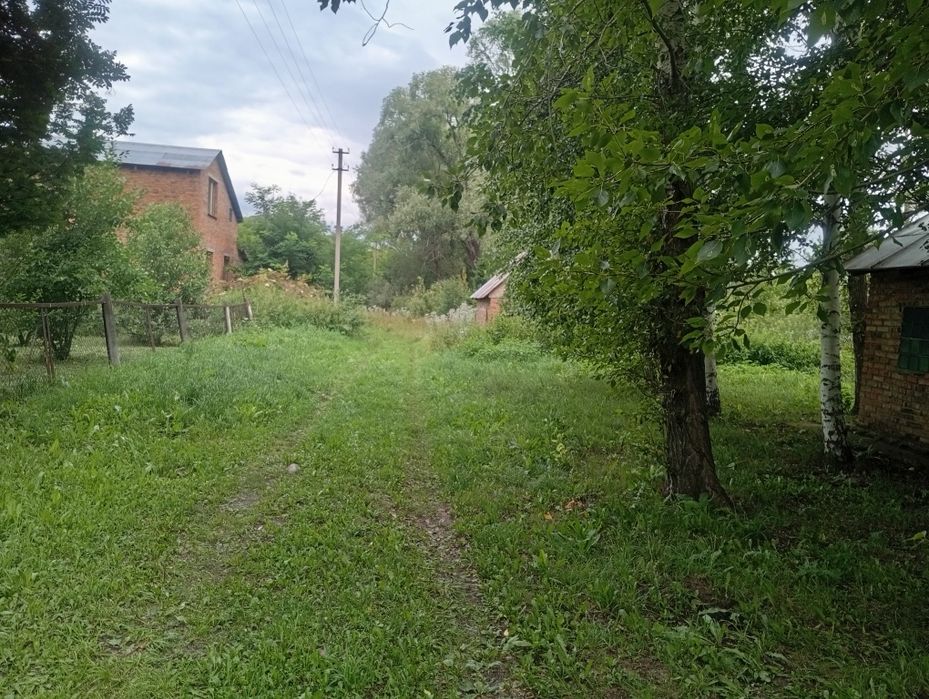 Дача с пасекой (за Тарханкой)