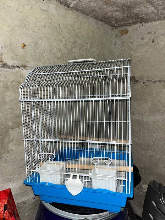 colivie papagali mici şi mari