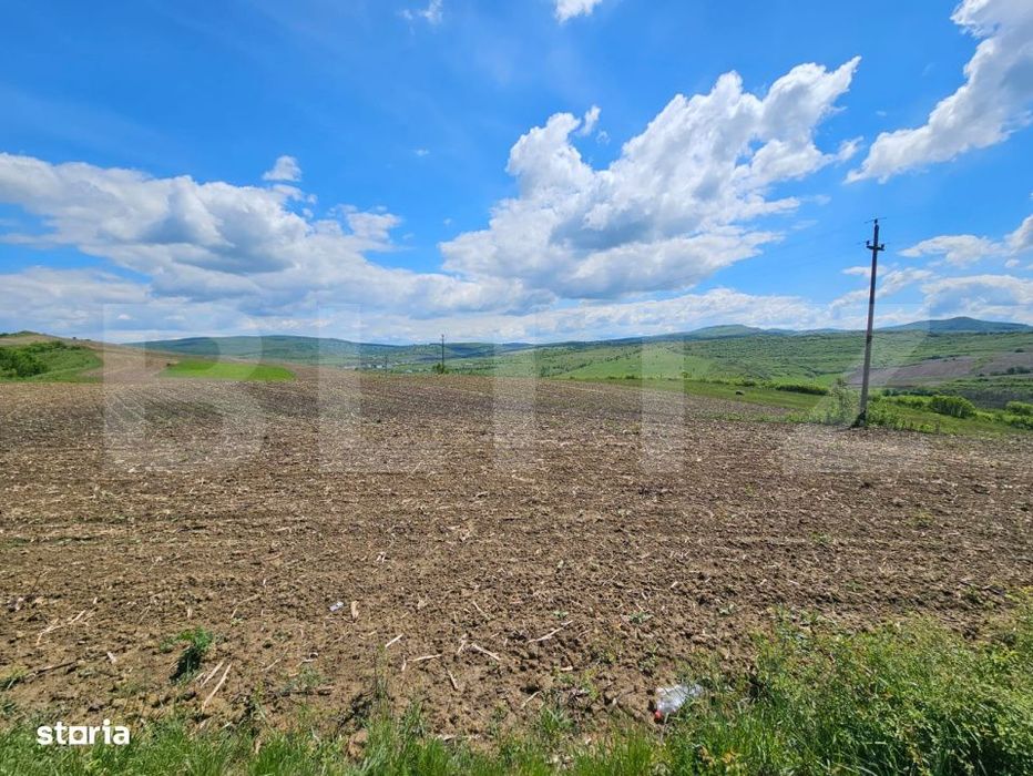 Teren Agricol, 5.800 mp, in Blajenii de Jos