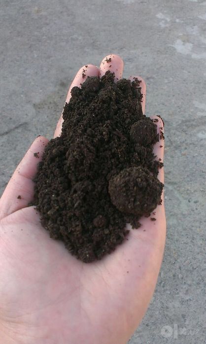 Biogomuslar totiladi