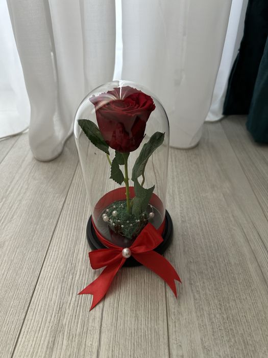 Cadou Valentine’s Day trandafiri criogenati