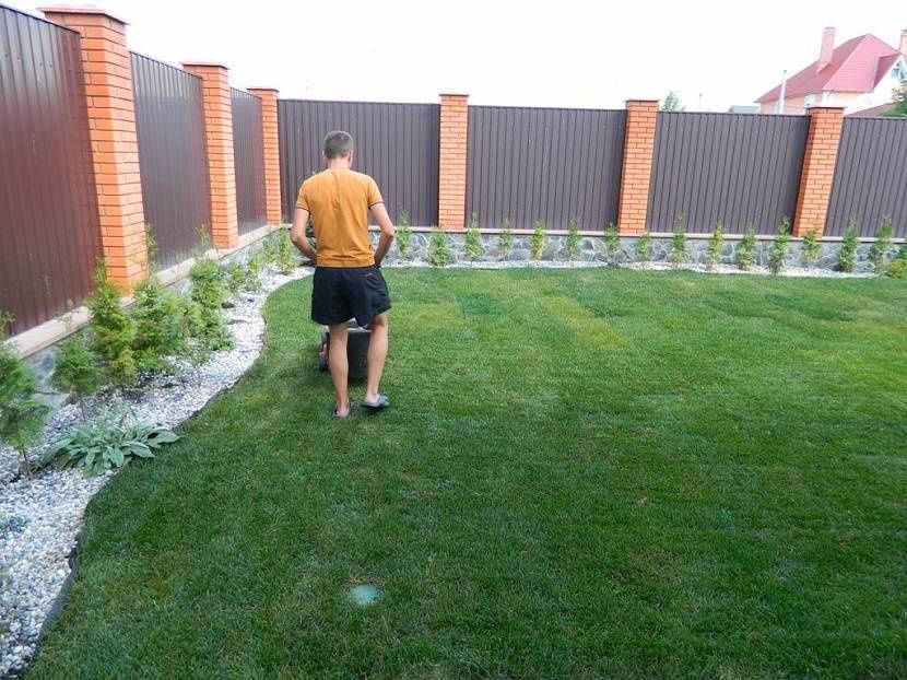 Спортивный газон в петропавловске