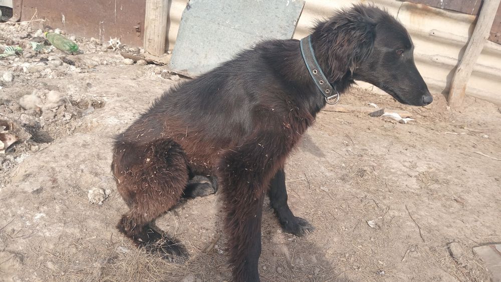 Тазы обмен айфон бар 11 12 13