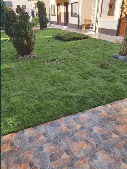 Gazonul Rulou Premium - Perfect pentru Casa Ta!