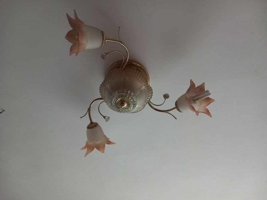 Запазен  Полилей