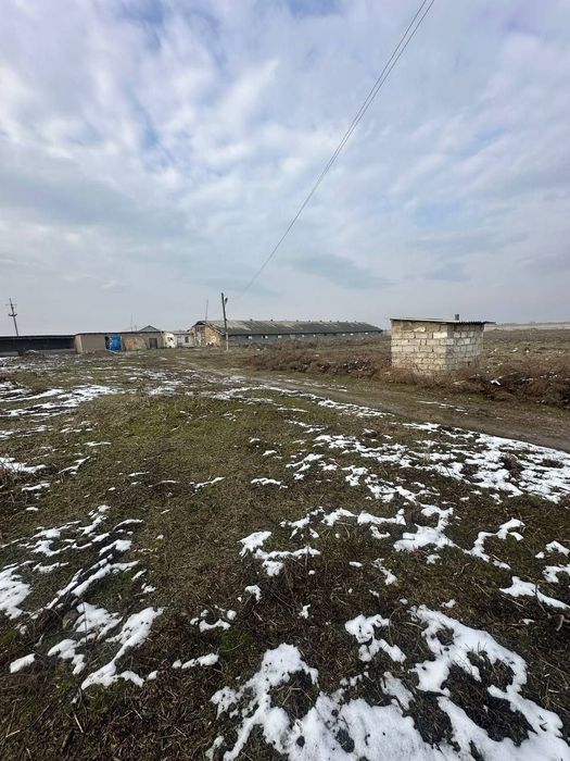 Sirdaryo shahar, Pravdada 1.50 gektarli ferma sotiladi