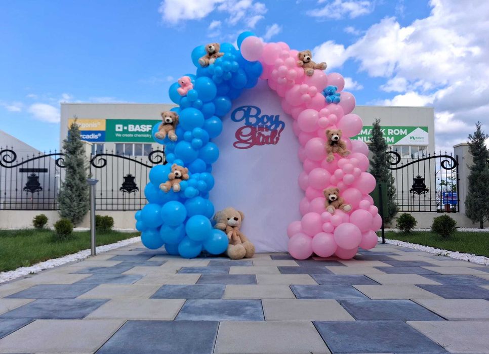 Aranjamente botez/cristelnita Arcada baloane Photocorner DECOR PARTY Panou foto majorat Arcada baloane gender reveal girl/boy