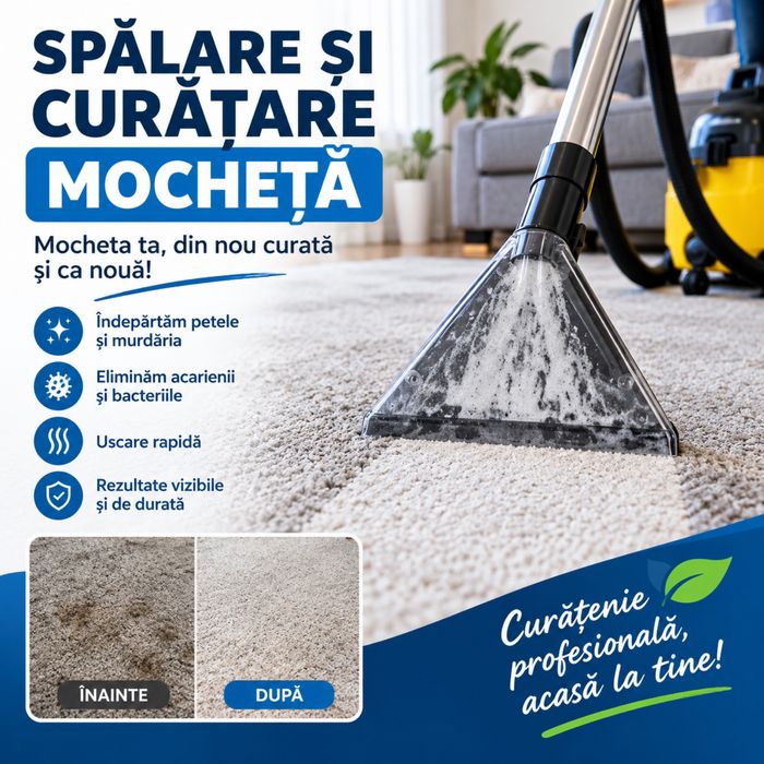 Spălare Și Curățare Mochetă
