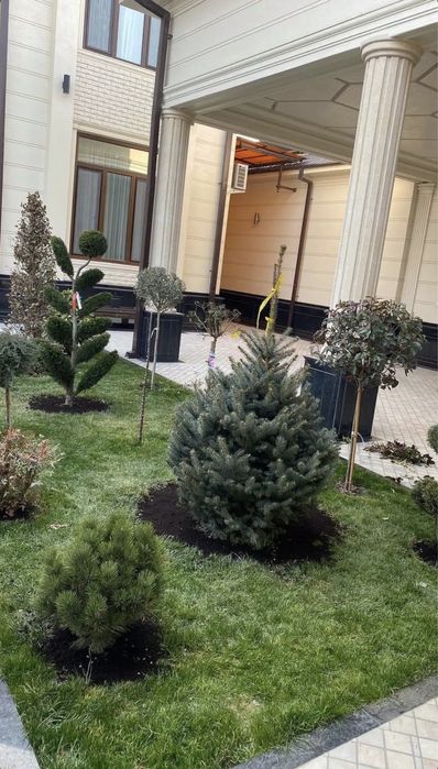 Автополив - газон