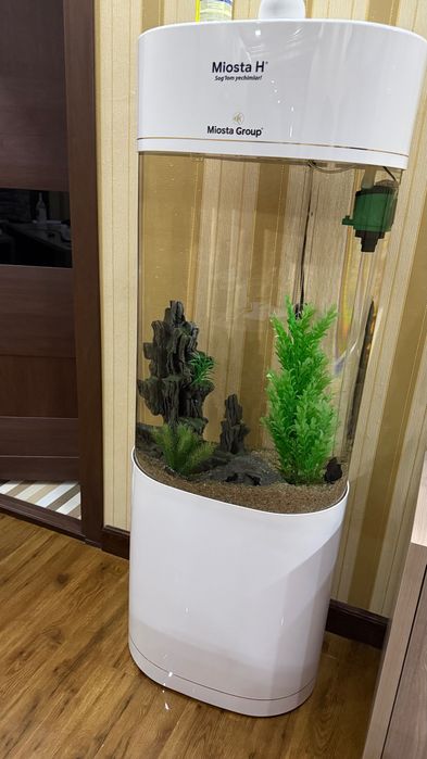 Аквариум с рыбами