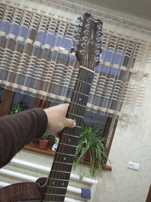 Tiger eyes  gitara 12 strunniy, professionalniy