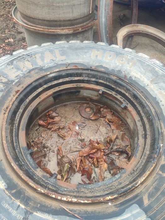 Maz peredniyga bezkamir diska