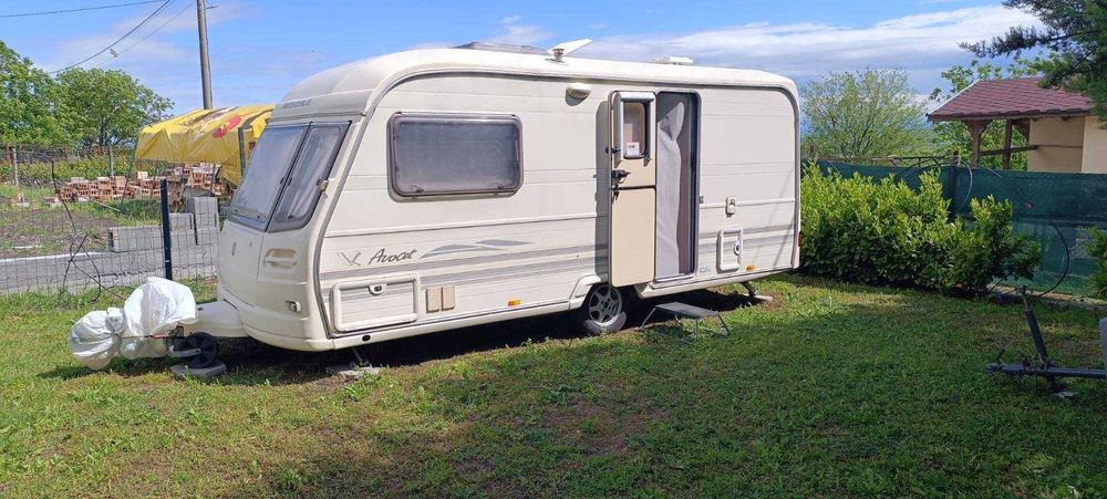 Каравана 2003 Avondale avocet