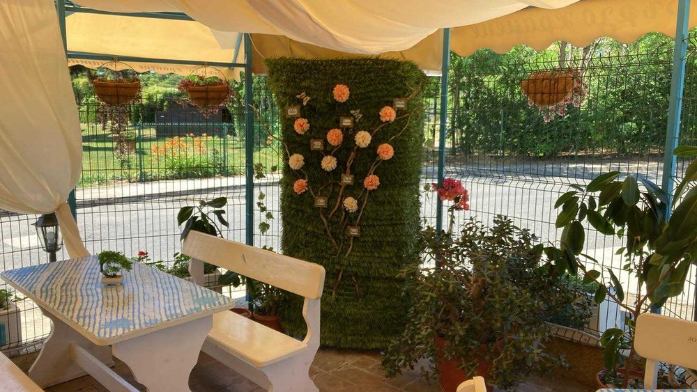 Собственик работещ БИЗНЕС заведение Несебър 300 м от плажа Златна дюна