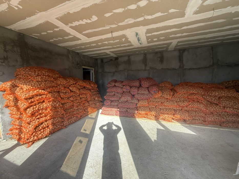 Vand cartofi de sămânță și de mancat