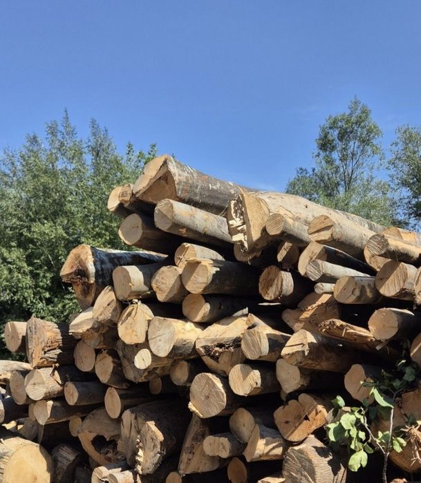 Lemne de foc esență tare