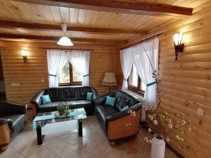 Cabană de vânzare( afacere la cheie)