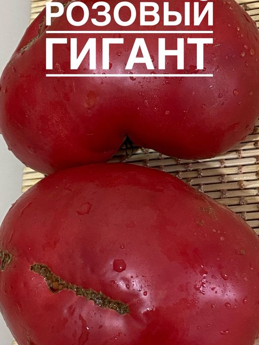 Продам расссаду помидор крупноплодных