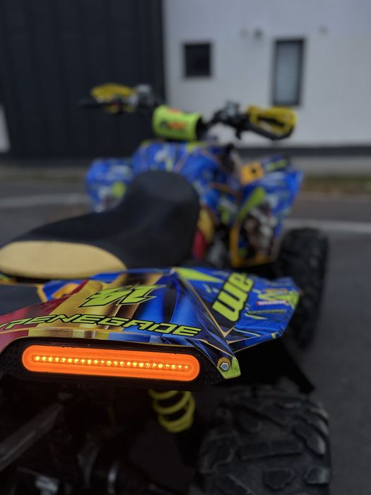 ATV CAN-AM Renegade 570cc G2, An 2019, Toba Sport