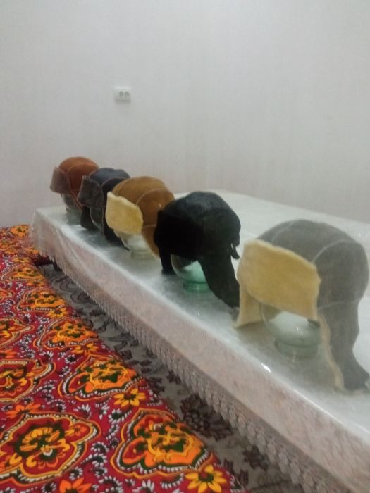 Оптом натуральная овчины ушанка